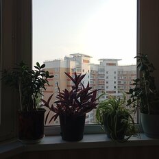 Квартира 43,2 м², 1-комнатная - изображение 1