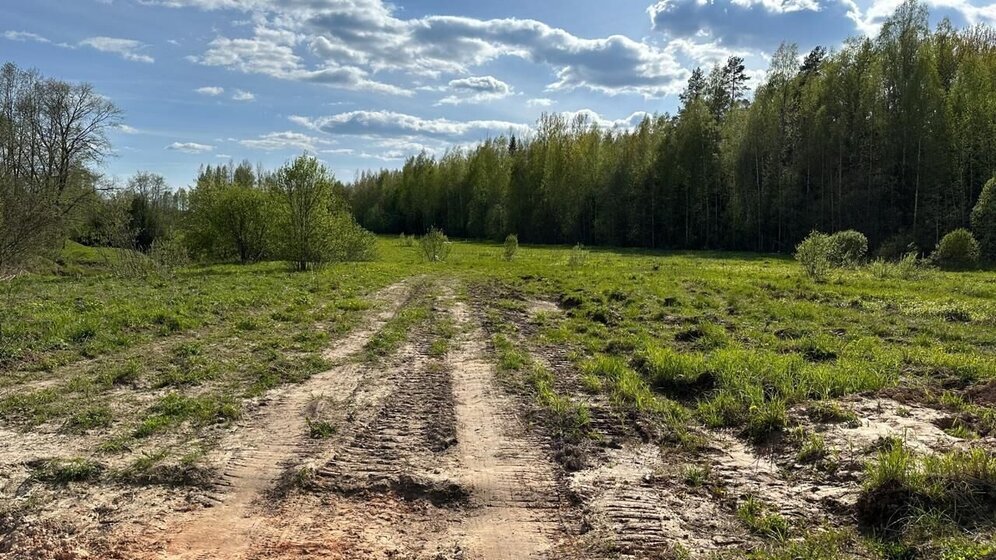 10 соток, участок 900 000 ₽ - изображение 21