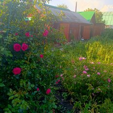 дом + 4,2 сотки, участок - изображение 3