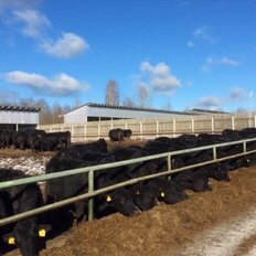 24733 га, участок коммерческого назначения - изображение 3