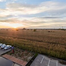 Квартира 29,5 м², студия - изображение 5