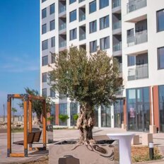 Квартира 51,4 м², 2-комнатная - изображение 4