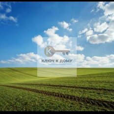 2,8 га, участок коммерческого назначения - изображение 2