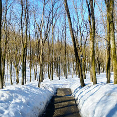 Квартира 74 м², 3-комнатная - изображение 2