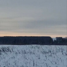 2,4 га, участок - изображение 4