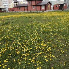 Квартира 41 м², 1-комнатная - изображение 3