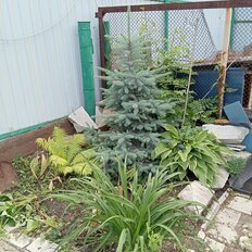 дом + 10,8 сотки, участок - изображение 1