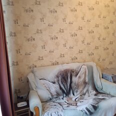 16 м², комната - изображение 3