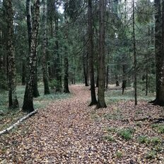 Квартира 39,5 м², 1-комнатная - изображение 5