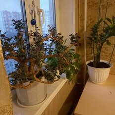 Квартира 53,8 м², 2-комнатная - изображение 1