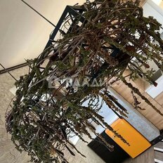 Квартира 90 м², 2-комнатная - изображение 5