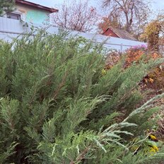 дом + 5,4 сотки, участок - изображение 3