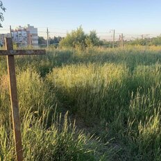 40 соток, участок - изображение 4