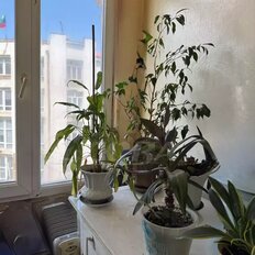 Квартира 50 м², 2-комнатная - изображение 3