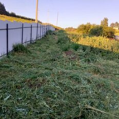 22,6 сотки, участок - изображение 5