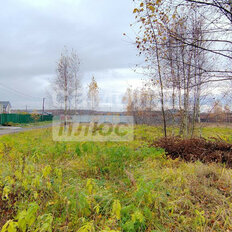 11 соток, участок - изображение 5