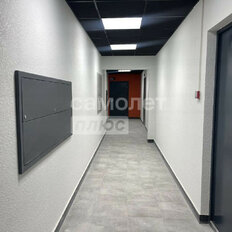 Квартира 41,1 м², 1-комнатная - изображение 1