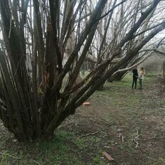 6 соток, участок - изображение 5