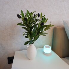 Квартира 21 м², студия - изображение 4