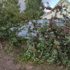 13 соток, участок - изображение 5
