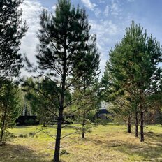 9,6 сотки, участок - изображение 3