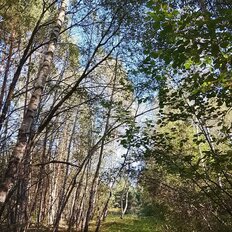 11,5 сотки, участок - изображение 1