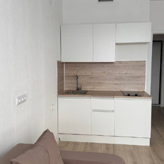 Квартира 21,8 м², студия - изображение 4
