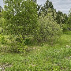 15 соток, участок - изображение 1