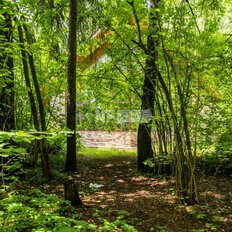 24,2 сотки, участок - изображение 1