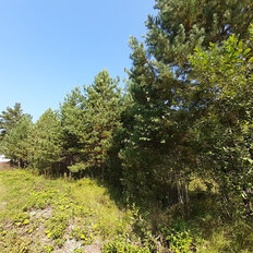 11,1 сотки, участок - изображение 3