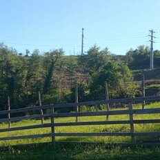 1 га, участок - изображение 1