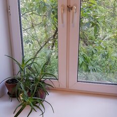 11 м², комната - изображение 1