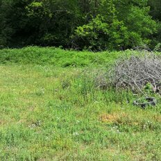 4,5 сотки, участок - изображение 2