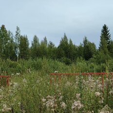 17 соток, участок - изображение 2