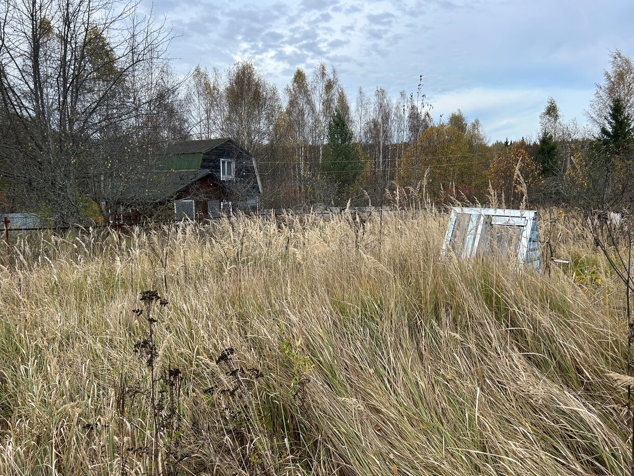 Дом 40 м² в СНТ Багримово — фото 7 из 23