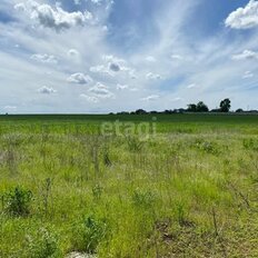 5 соток, участок - изображение 3