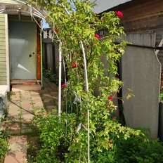 дом + 2,5 сотки, участок - изображение 1