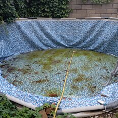 дом + 5 соток, участок - изображение 3