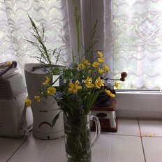 Квартира 70 м², 3-комнатная - изображение 5