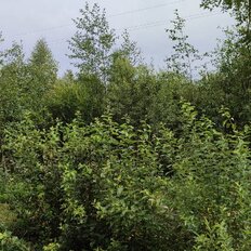 5 соток, участок - изображение 1