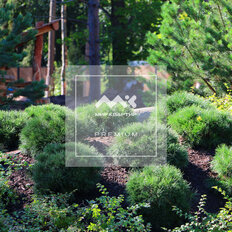 Квартира 70 м², 1-комнатные - изображение 3