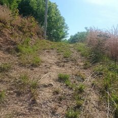 16,5 сотки, участок - изображение 3