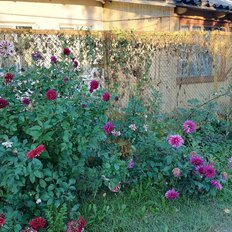 Квартира 50 м², 2-комнатная - изображение 2