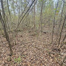 10 соток, участок - изображение 4