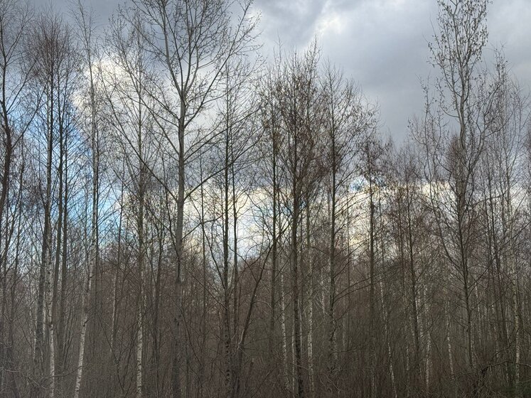 50 м², 2-комнатная квартира 2 800 ₽ в сутки - изображение 29