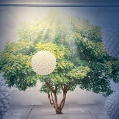 Квартира 80 м², 3-комнатная - изображение 4