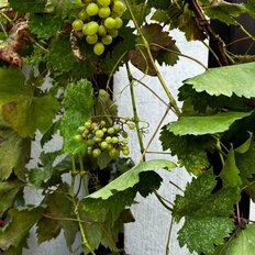 Квартира 60 м², 2-комнатная - изображение 1