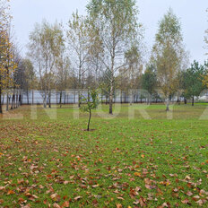 60 соток, участок коммерческого назначения - изображение 4