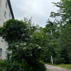 Квартира 42 м², 2-комнатная - изображение 5