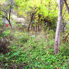 6 соток, участок - изображение 4